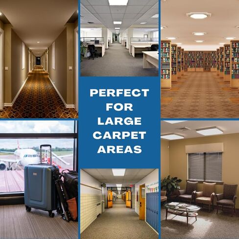 Commercial Walk-Behind Carpet Extractor Machine, 160 PSI Cold Water Carpet Cleaner, 21 KPA Suction, 13.8" Brush Width, 18.5" Squeegee Width, 10.5-Gal Solution Tank, 8-Gal Recovery Tank in Kuwait