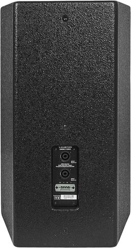 Sound Town CARME Series 12" 700W 2-Way Professional PA DJ Speaker, Black with Titanium Driver, Birch Plywood for Installation, Live Sound, Karaoke, Bar, Church (CARME-112BG3) in Saudi Arabia
