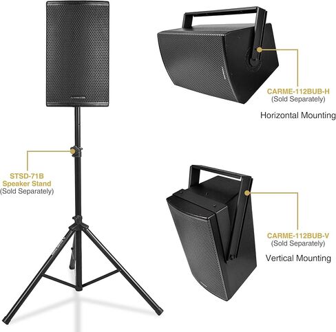 Sound Town CARME Series 12" 700W 2-Way Professional PA DJ Speaker, Black with Titanium Driver, Birch Plywood for Installation, Live Sound, Karaoke, Bar, Church (CARME-112BG3) in Saudi Arabia
