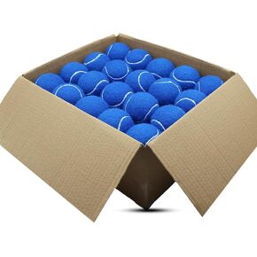 Tennis Balls, 40 Pack Training Tennis Balls,High Elasticity Practice Tennis for Beginner, Exercise Playing Balls for Pet Dog in Kuwait