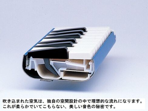 Suzuki Student M-32 Melodica, 32 keys in Saudi Arabia