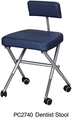 TPC Portable Adjustable Office Dental Chair Stool with LED Exam Light Nylon Bag in Kuwait
