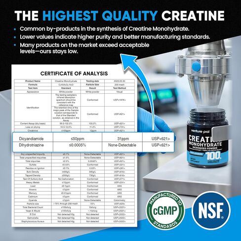 Venture Pal 100% مسحوق الكرياتين أحادي الهيدرات النقي النقي، كرياتين بدون نكهة للنساء والرجال، نباتي، كيتو، خالي من الغلوتين، 5 جم (5000 مجم) لكل وجبة، كرياتينا مونوهيدراتادا أون بولفو in Kuwait