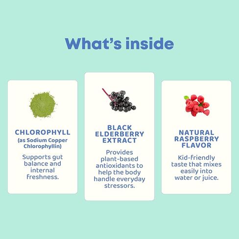 JoySpring Liquid Chlorophyll Drops for Kids | Super Greens for Kids Infused with Elderberry & Chlorophyll for Bad Breath |Sugar Free Body Deodorizing Supplement |Berry Flavor| 30 Servings in Kuwait