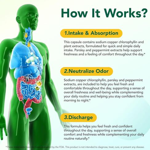 كبسولات الكلوروفيل مكمل مزيل العرق الداخلي، تحكم طبيعي في رائحة الجسم من أجل نضارة الجسم بالكامل، الكلوروفيل مع البقدونس والنعناع للتنفس ودعم الأمعاء والجهاز الهضمي، نباتي، 120 كبسولة in Kuwait