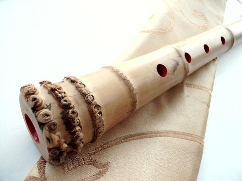 1.3 شاكوهاتشي الخماسي ث. أداة زن لنهاية الجذر in Kuwait
