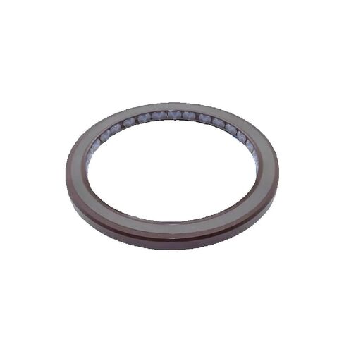 ختم الزيت من نوع الضغط BAFSL1SF 80 * 100 7 مم - شفة مزدوجة مع زنبرك in Kuwait