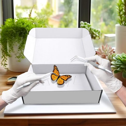 مجموعة تثبيت الحشرات، تتضمن علبة عرض الحشرات، 5 قطع من ألواح تثبيت الحشرات المصنوعة من إسفنج إيفا، 500 قطعة من دبابيس الحشرات لمشروع جمع حشرات الفراشة وعرض العينات in Kuwait