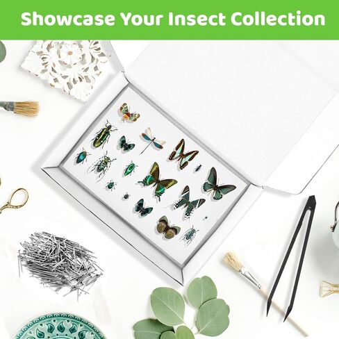 مجموعة تثبيت الحشرات، تتضمن علبة عرض الحشرات، 5 قطع من ألواح تثبيت الحشرات المصنوعة من إسفنج إيفا، 500 قطعة من دبابيس الحشرات لمشروع جمع حشرات الفراشة وعرض العينات in Kuwait