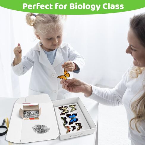 مجموعة تثبيت الحشرات، تتضمن علبة عرض الحشرات، 5 قطع من ألواح تثبيت الحشرات المصنوعة من إسفنج إيفا، 500 قطعة من دبابيس الحشرات لمشروع جمع حشرات الفراشة وعرض العينات in Kuwait