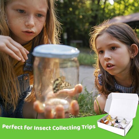 مجموعة تثبيت الحشرات، تتضمن علبة عرض الحشرات، 5 قطع من ألواح تثبيت الحشرات المصنوعة من إسفنج إيفا، 500 قطعة من دبابيس الحشرات لمشروع جمع حشرات الفراشة وعرض العينات in Kuwait