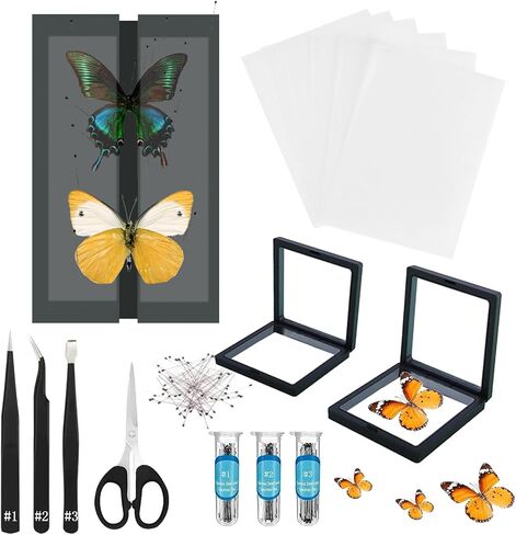 تتضمن مجموعة عينات الفراشة دبابيس، ولوحة تثبيت، وأدوات توزيع، وحقيبة عرض، وملصقات، وملقط، وحفظ وعرض عينات الفراشة. (طقم صندوق عرض PVC أسود) in Kuwait