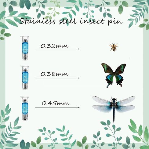 تتضمن مجموعة عينات الفراشة دبابيس، ولوحة تثبيت، وأدوات توزيع، وحقيبة عرض، وملصقات، وملقط، وحفظ وعرض عينات الفراشة. (طقم صندوق عرض PVC أسود) in Kuwait