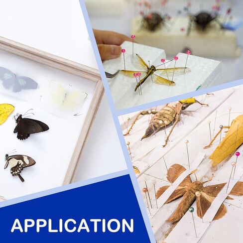 6 قطع من ألواح تثبيت الحشرات، لوحات عرض حشرات من إسفنج EVA مقاس 9.8 × 6.3 × 0.39 بوصة، وألواح نشر الفراشة لمشاريع تعليم العلوم، وأبحاث علم الحشرات، وتركيب عينات الحشرات in Kuwait