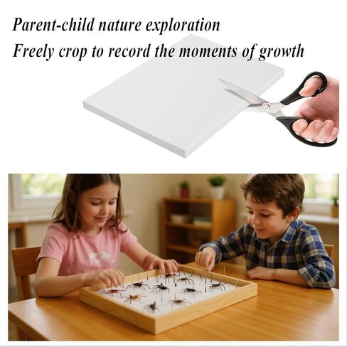 3 Pcs Insect Pinning Board, Butterfly Preservation EVA Foam Boards, Insect Specimen Display Panel, Insect Spreading Board, Bugs Collection for Science Education, 8.66 x 6.29 x 1.57" in Saudi Arabia