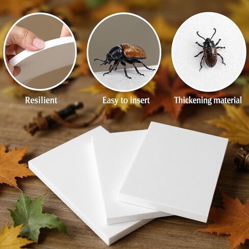 3 Pcs Insect Pinning Board, Butterfly Preservation EVA Foam Boards, Insect Specimen Display Panel, Insect Spreading Board, Bugs Collection for Science Education, 8.66 x 6.29 x 1.57" in Saudi Arabia