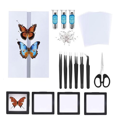 تتضمن مجموعة عينات الفراشة دبابيس، ولوحة تثبيت، وأدوات توزيع، وحقيبة عرض، وملصقات، وملقط، وحفظ وعرض عينات الفراشة. (أدوات عينة إبرة الحشرات) in Kuwait