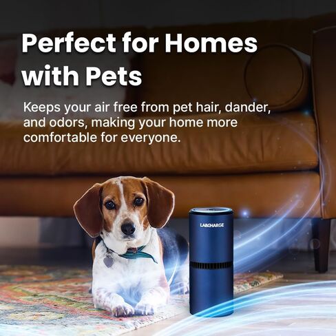Lab Charge Small Ionic Air Purifier for Home & Bedroom – Silent HEPA Filter – Covers 250 Sq Ft - Free Cleaner for Pets, Hair, Smoke, Dust, Odors & Dander – Compact & Blue Design - Pack of 3 in Kuwait