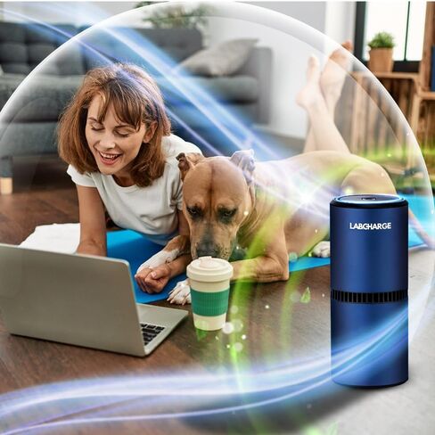 Lab Charge Small Ionic Air Purifier for Home & Bedroom – Silent HEPA Filter – Covers 250 Sq Ft - Free Cleaner for Pets, Hair, Smoke, Dust, Odors & Dander – Compact & Blue Design - Pack of 3 in Kuwait