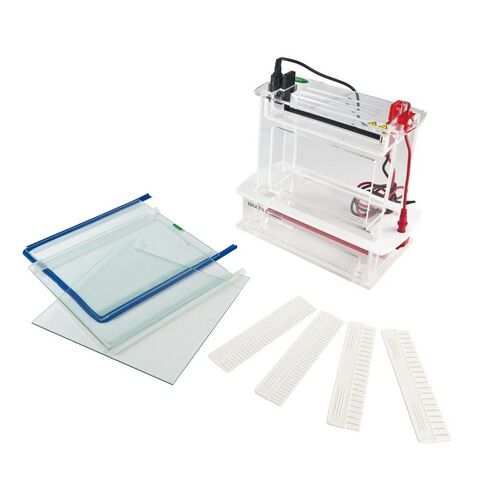 Vertical Electrophoresis System Tank (FSF-SCZ9) in Kuwait