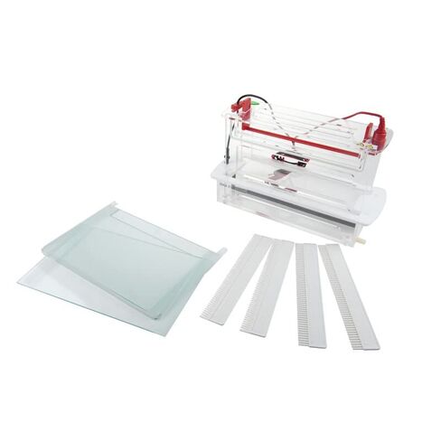 Vertical Electrophoresis System Tank (FSF-SCZ9) in Kuwait