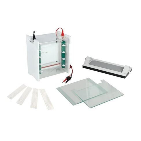 Vertical Electrophoresis System Tank (FSF-SCZ9) in Kuwait