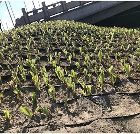 Gravel Stabilization Mesh for Patios & Driveways - Expandable Honeycomb for Pavers & Grass 8 x 10 m (26.25 x 32.81 ft) Stabilizer Solution in Kuwait