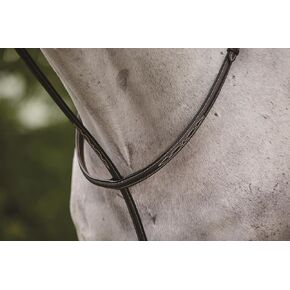 جامعية فاخرة مخيطة مرتفعة واقفة مارتينجال II، بني، كامل in Kuwait