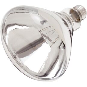 Satco Lighting S4885-250 Watt R40 Dimmable Clear Heat Lamp - 2700K - Shatterproof and PFA Coating (5 Pack) in Kuwait