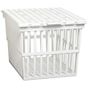 PSC 2003601 White Polypropylene Autoclaving Basket with Lid, 16 cm x 17 cm x 18 cm in Kuwait