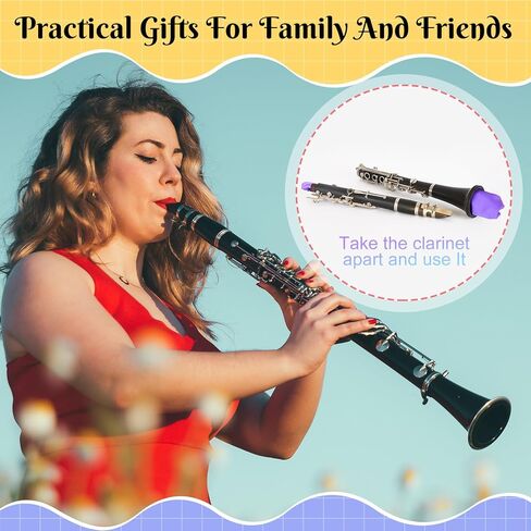 Lallisa 24 Pcs Clarinet Swab Cloth Bulk Cleaning Cloth Swab for Inside Tube Clarinet Cleaner Pull Through Instrument Fabric with Weighted String for Flute Piccolo Sax Saxophone, Multicolor in Saudi Arabia