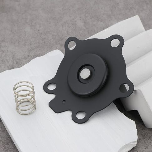SING F LTD 1pc Replacement Diaphragm Kit with Spring K2000 M1204B Compatible with Goyen CA20T RCA20T CA20DD RCA20DD in Saudi Arabia