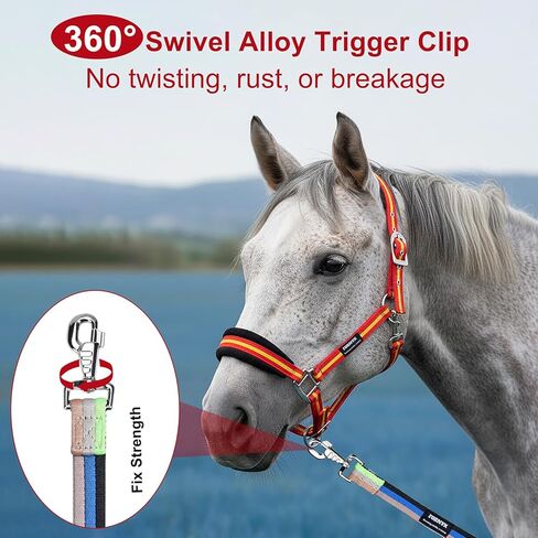 Lunge Line for Horse, Equine Lunge Line with Solid Swivel Alloy Trigger Buckle for Accurate Equestrian Training, Competition and Daily Use, 26ft/8m (Black-Blue-Beige-Green) in Kuwait