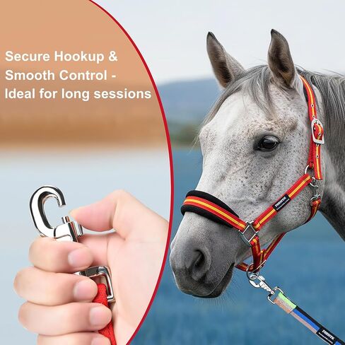 Lunge Line for Horse, Equine Lunge Line with Solid Swivel Alloy Trigger Buckle for Accurate Equestrian Training, Competition and Daily Use, 26ft/8m (Black-Blue-Beige-Green) in Kuwait