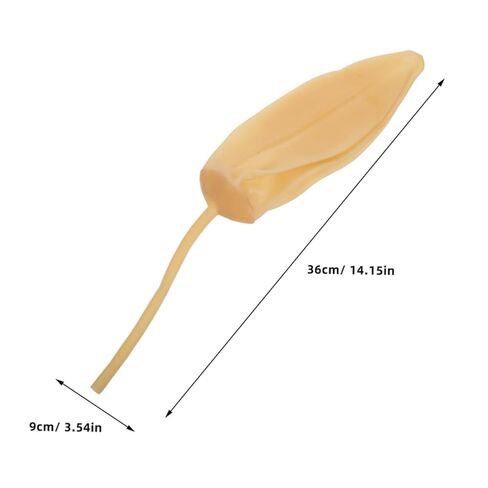 Gas Sampling Latex Bladder Balloon 4Pcs Reusable Laboratory Gas Collector for Environmental and Industrial Collection 14.17In Length in Kuwait