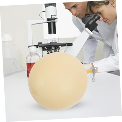 Gas Sampling Latex Bladder Balloon 4Pcs Reusable Laboratory Gas Collector for Environmental and Industrial Collection 14.17In Length in Kuwait