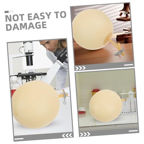 Gas Sampling Latex Bladder Balloon 4Pcs Reusable Laboratory Gas Collector for Environmental and Industrial Collection 14.17In Length in Kuwait