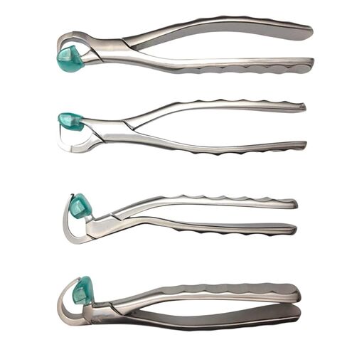 Premium Dental Forceps Set - 4 Piece Standard Series Precision Grip Instruments - Professional Grade Stainless Steel Hand Tool Kit in Saudi Arabia