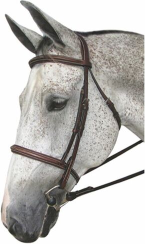 Henri de Rivel Pro Mono Crown Fancy Stitched Padded Bridle in Kuwait