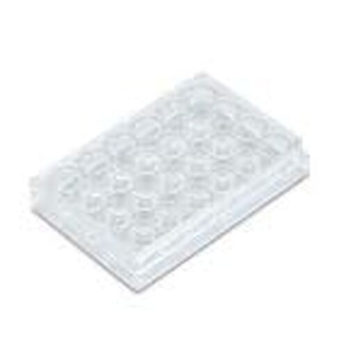 24-Well Cell Culture Plate in Saudi Arabia