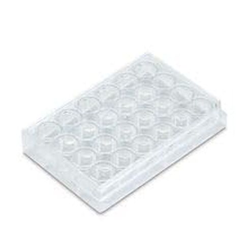 24-Well Cell Culture Plate in Saudi Arabia
