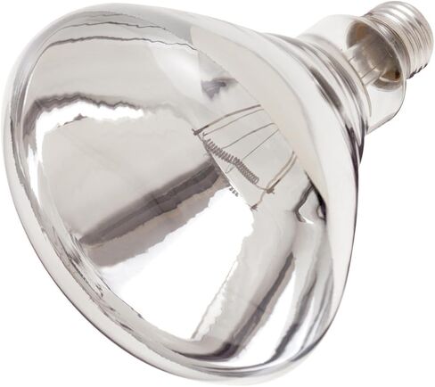 Satco Lighting S4885-250 Watt R40 Dimmable Clear Heat Lamp - 2700K - Shatterproof and PFA Coating (5 Pack) in Saudi Arabia