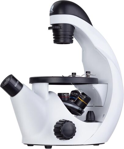 IQCrew by AmScope 40X-500X Inverted Student Microscope Kit w/Experiment + Blank & Prepared Slides in Kuwait