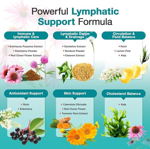 مكملات التصريف اللمفاوي - دعم الجهاز اللمفاوي، توازن السوائل، دعم المناعة - كبسولات طبيعية للتنظيف اللمفاوي وإزالة السموم مع الهندباء والإشنسا والأرقطيون والمزيد، 90 كبسولة in Kuwait