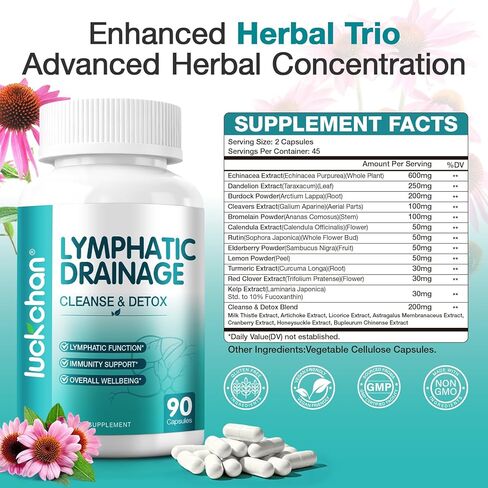 مكملات التصريف اللمفاوي - دعم الجهاز اللمفاوي، توازن السوائل، دعم المناعة - كبسولات طبيعية للتنظيف اللمفاوي وإزالة السموم مع الهندباء والإشنسا والأرقطيون والمزيد، 90 كبسولة in Kuwait