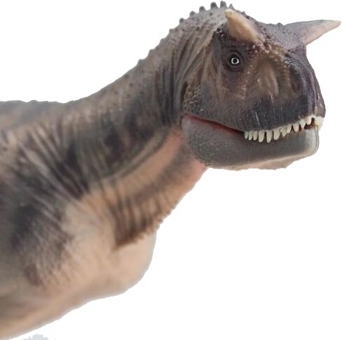 Carnotaurus (Zhoutong) in Saudi Arabia