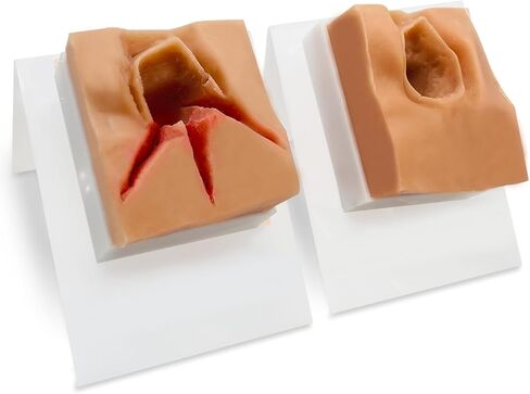 Perineal Suturing Model – Perineal Repair Practice Model, Molds for Surgical Vulvar Sutures, Vaginal Tear Suturing Model for Obstetric Training and Simulation in Kuwait