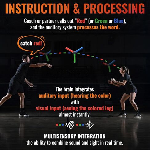 HECOstix Hand-Eye Coordination Trainer (Red/Green/Blue) – Reaction Time & Reflex Tool with Removable Legs | Improves Agility, Focus, & Multisensory Skills | Sports, Fitness, & Fun | All Ages in Saudi Arabia