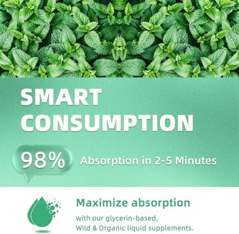 Holy Basil Tulsi Liquid Drops Extract | Full-Spectrum Adaptogen Complex | Alcohol-Free, 60ml Vegan Tincture in Saudi Arabia