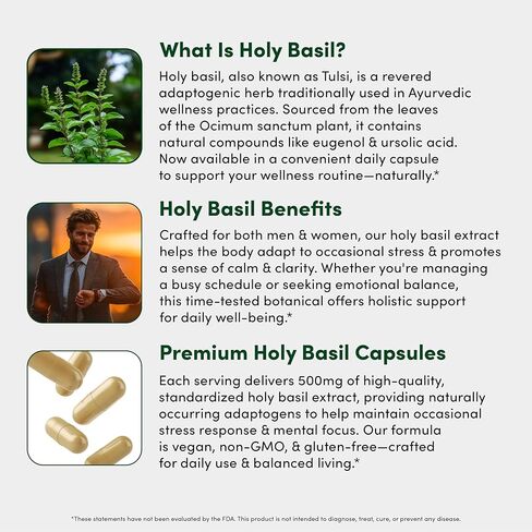 Vital Peak® Holy Basil 500 mg - دعم المزاج والاسترخاء - مكملات التولسي للنساء والرجال - نباتي، خالي من الغلوتين، خالي من الألبان، خالي من الصويا، غير معدل وراثيًا - 30 كبسولة in Kuwait